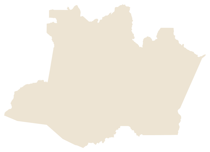 Mapa do estado do Amazonas - Regularização de Imóveis em Manaus